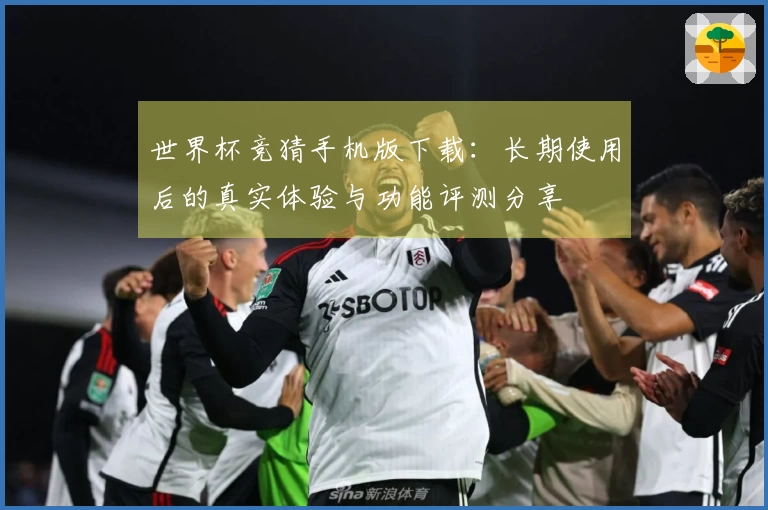 世界杯竞猜手机版下载：长期使用后的真实体验与功能评测分享