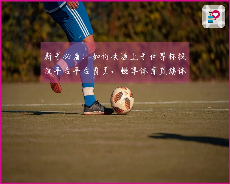 新手必看：如何快速上手世界杯投注平台平台首页，畅享体育直播体验