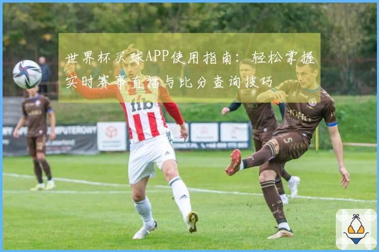 世界杯买球APP使用指南：轻松掌握实时赛事直播与比分查询技巧