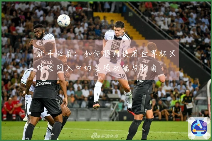 新手必看：如何顺利使用世界杯买球官网入口的各项功能与指南