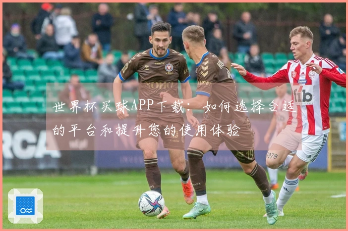 世界杯买球APP下载：如何选择合适的平台和提升您的使用体验