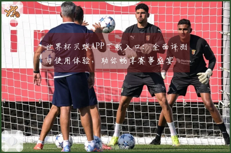 世界杯买球APP下载入口：全面评测与使用体验，助你畅享赛事盛宴