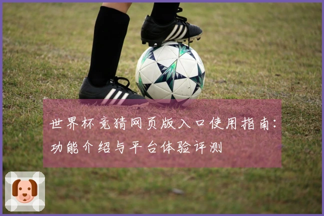 世界杯竞猜网页版入口使用指南：功能介绍与平台体验评测