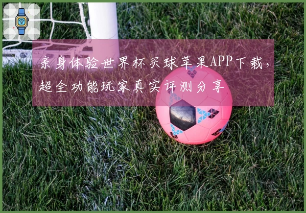 亲身体验世界杯买球苹果APP下载，超全功能玩家真实评测分享