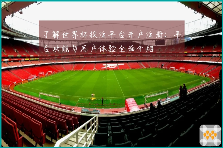 了解世界杯投注平台开户注册：平台功能与用户体验全面介绍