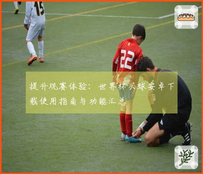 提升观赛体验：世界杯买球安卓下载使用指南与功能汇总