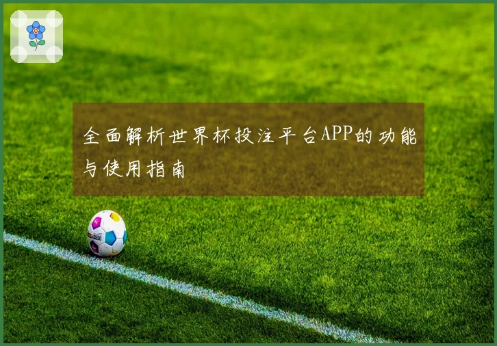 全面解析世界杯投注平台APP的功能与使用指南