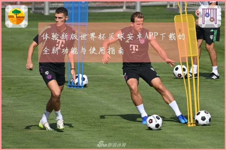 体验新版世界杯买球安卓APP下载的全新功能与使用指南