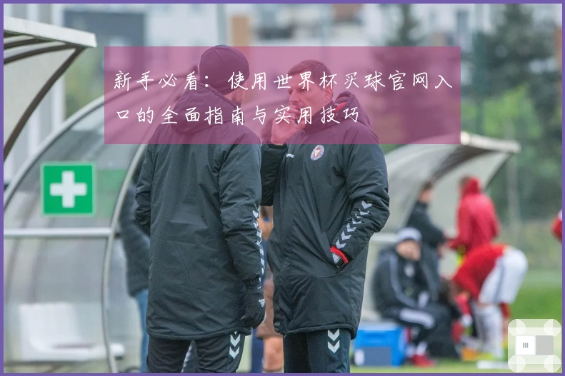 新手必看：使用世界杯买球官网入口的全面指南与实用技巧