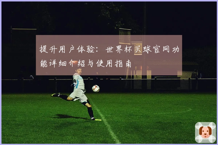 提升用户体验：世界杯买球官网功能详细介绍与使用指南