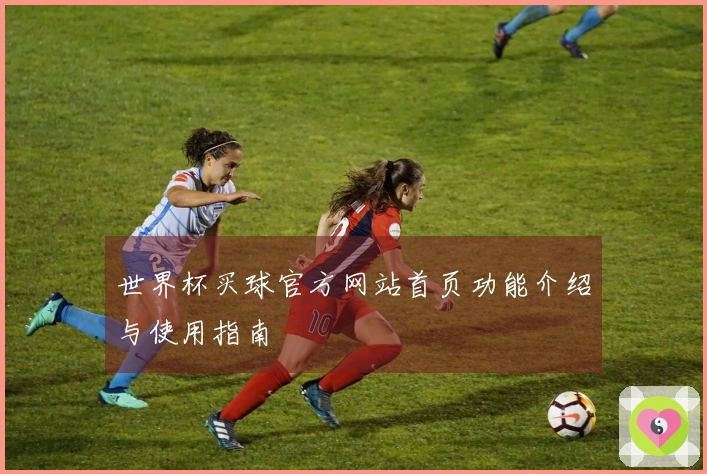世界杯买球官方网站首页功能介绍与使用指南