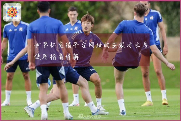 世界杯竞猜平台网址的安装方法与使用指南详解