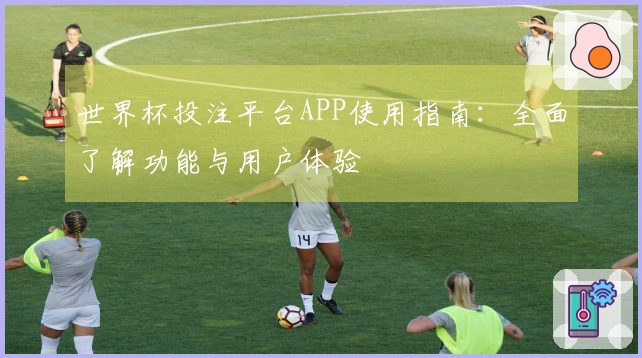 世界杯投注平台APP使用指南：全面了解功能与用户体验